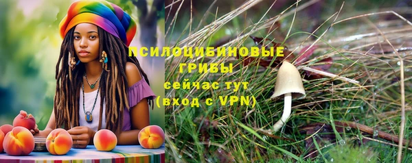 кокс Надым