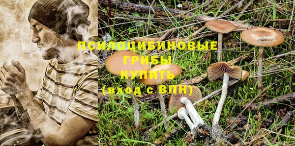 кокс Надым