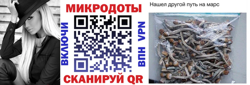Псилоцибиновые грибы MAGIC MUSHROOMS  наркота  Новая Ляля 